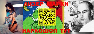 apvp Кингисепп