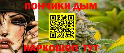 apvp Кингисепп