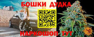 apvp Кингисепп