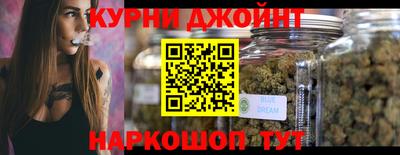 apvp Кингисепп