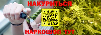 apvp Кингисепп