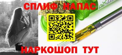 apvp Кингисепп