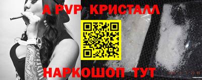 apvp Кингисепп