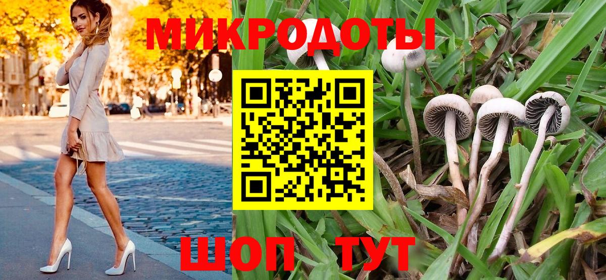 Галлюциногенные грибы Psilocybe  Вход с VPN  где продают   Красногорск 