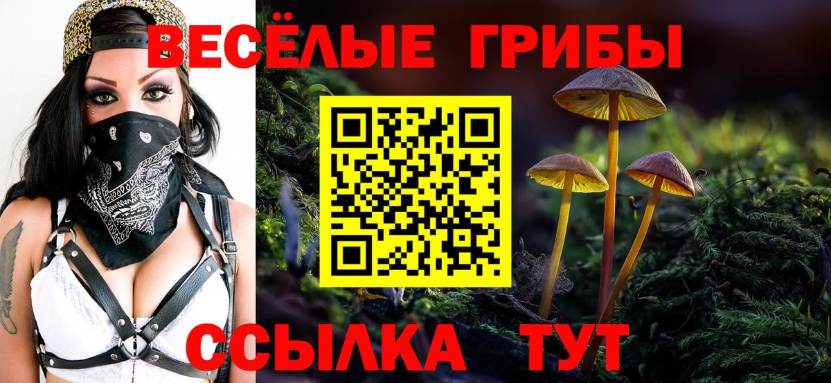 Псилоцибиновые грибы мухоморы Красногорск